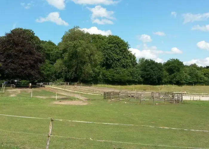 Reiterhof Jaegersburg * 바르엘